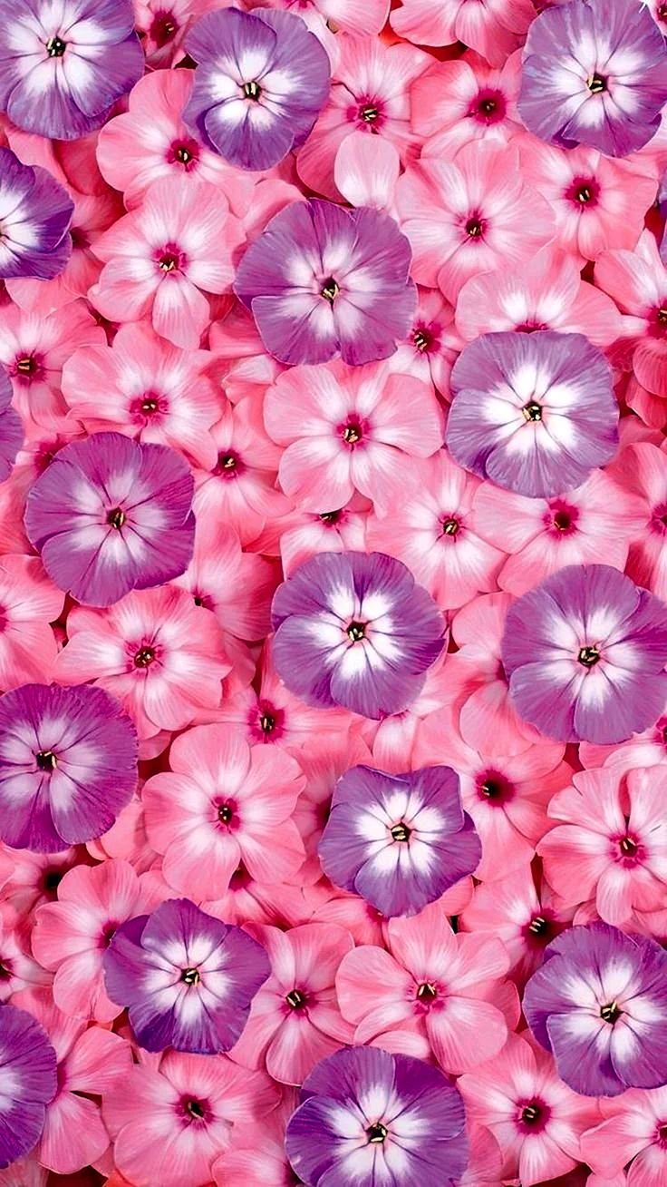 Розовый фон в мелкий цветочек