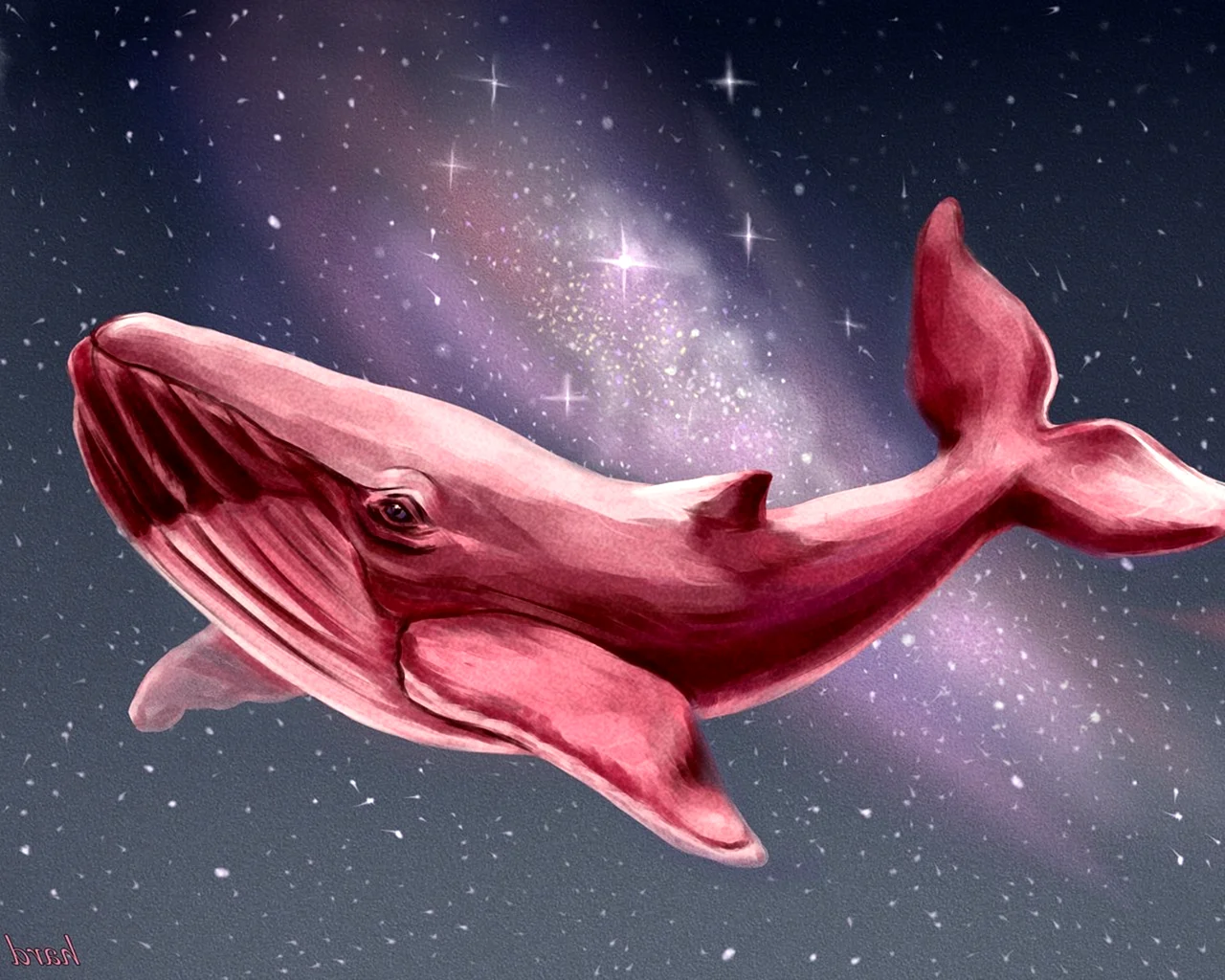 Розовый кит