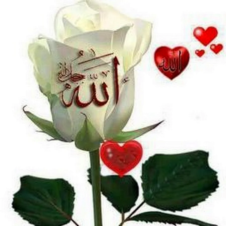 Розы с надписью Аллах