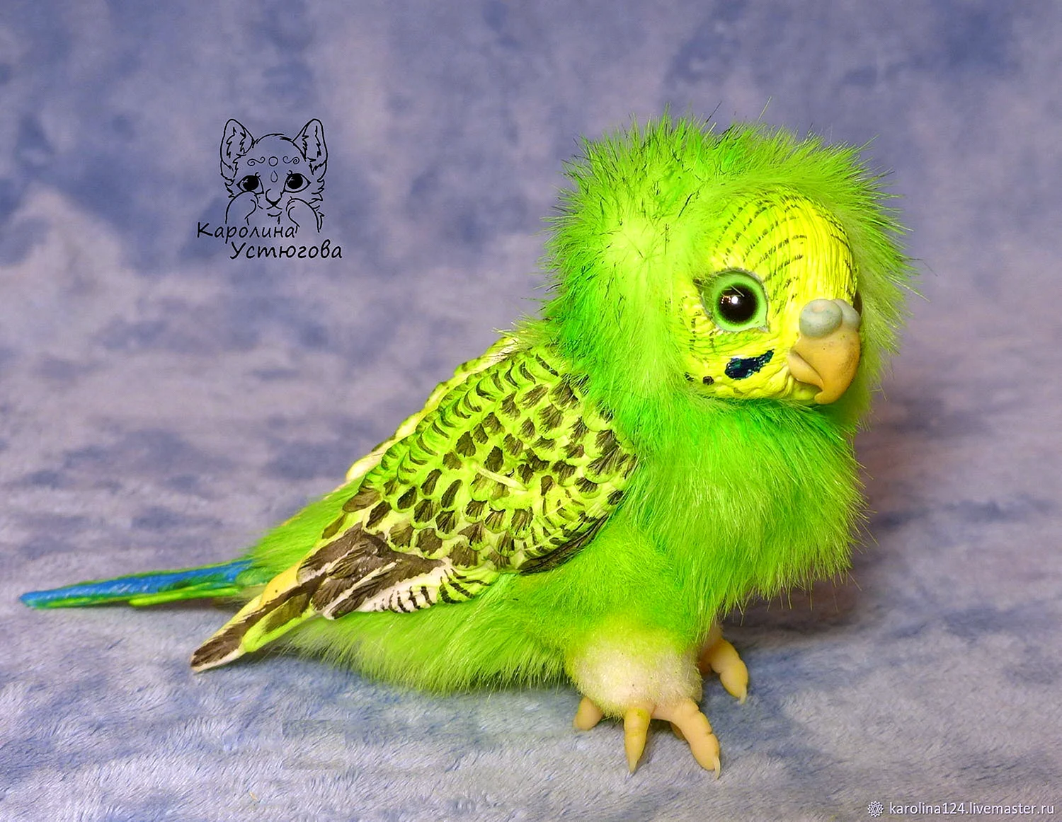 Ручной зеленый попугай волнистый