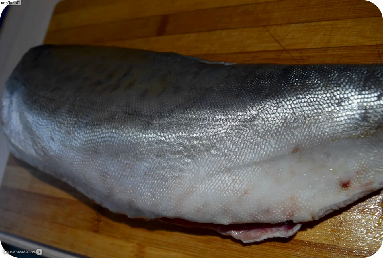 Рыба похожая на горбушу с белым мясом