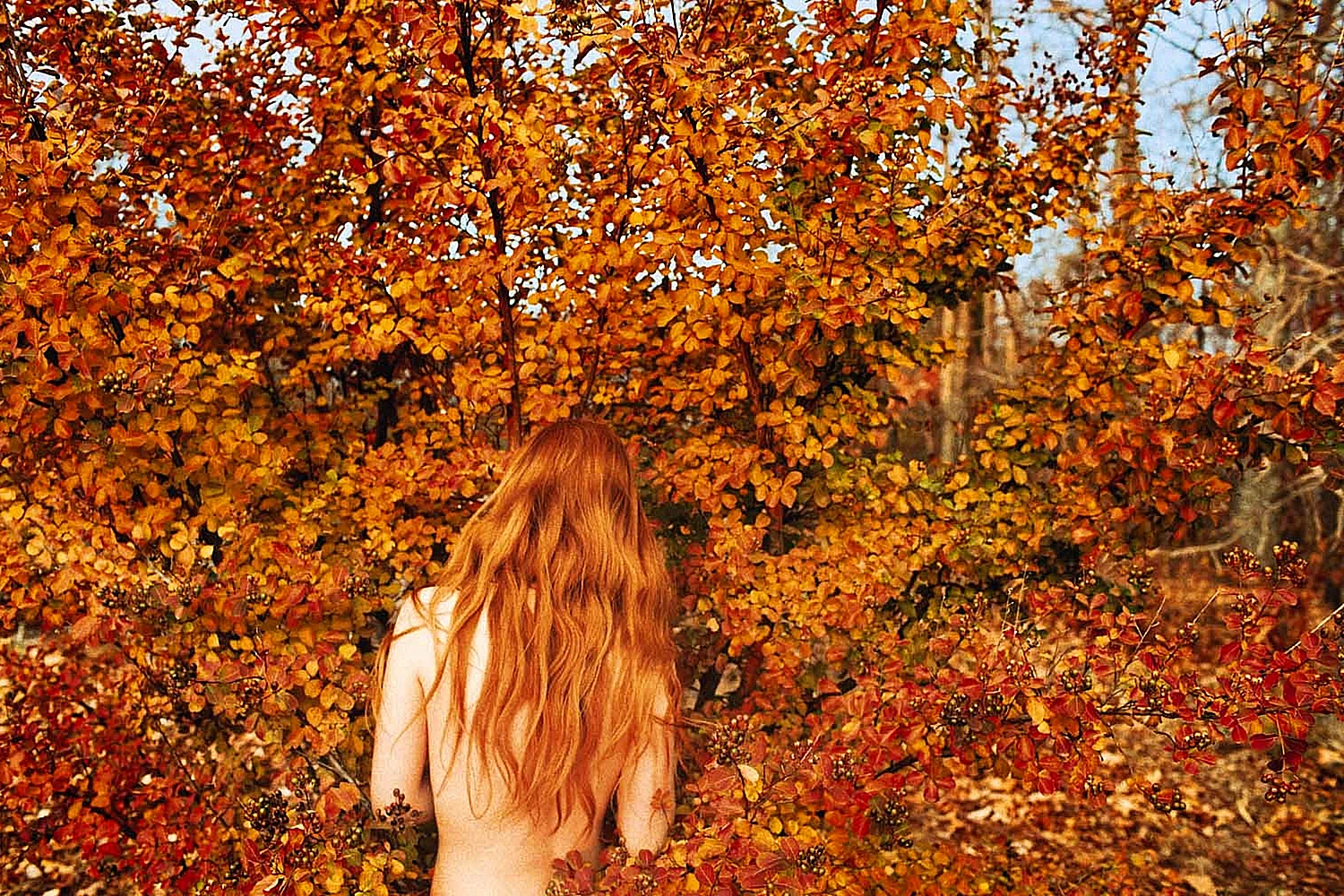 Рыжая девушка со спины осенью