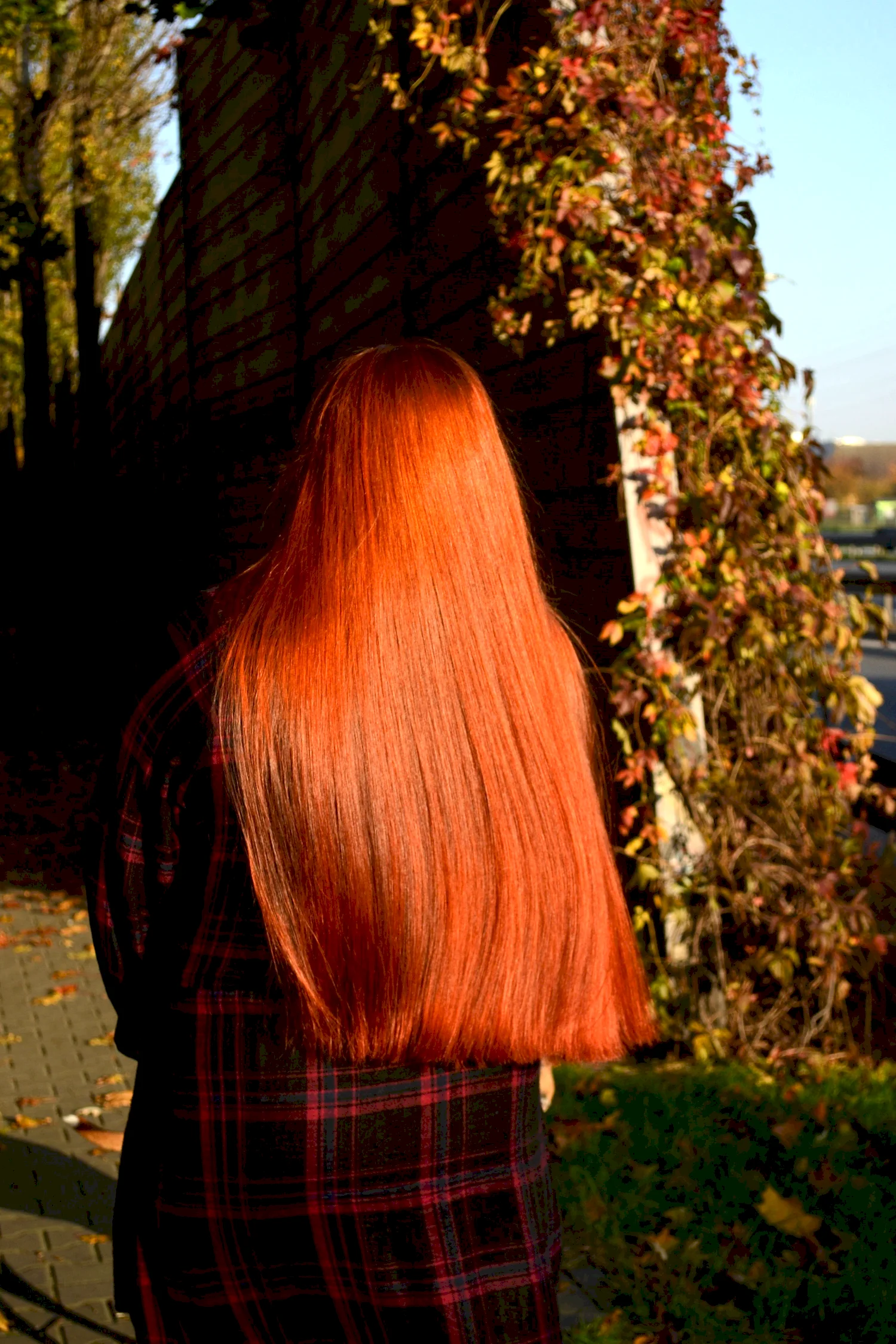 Рыжий цвет волос со спины