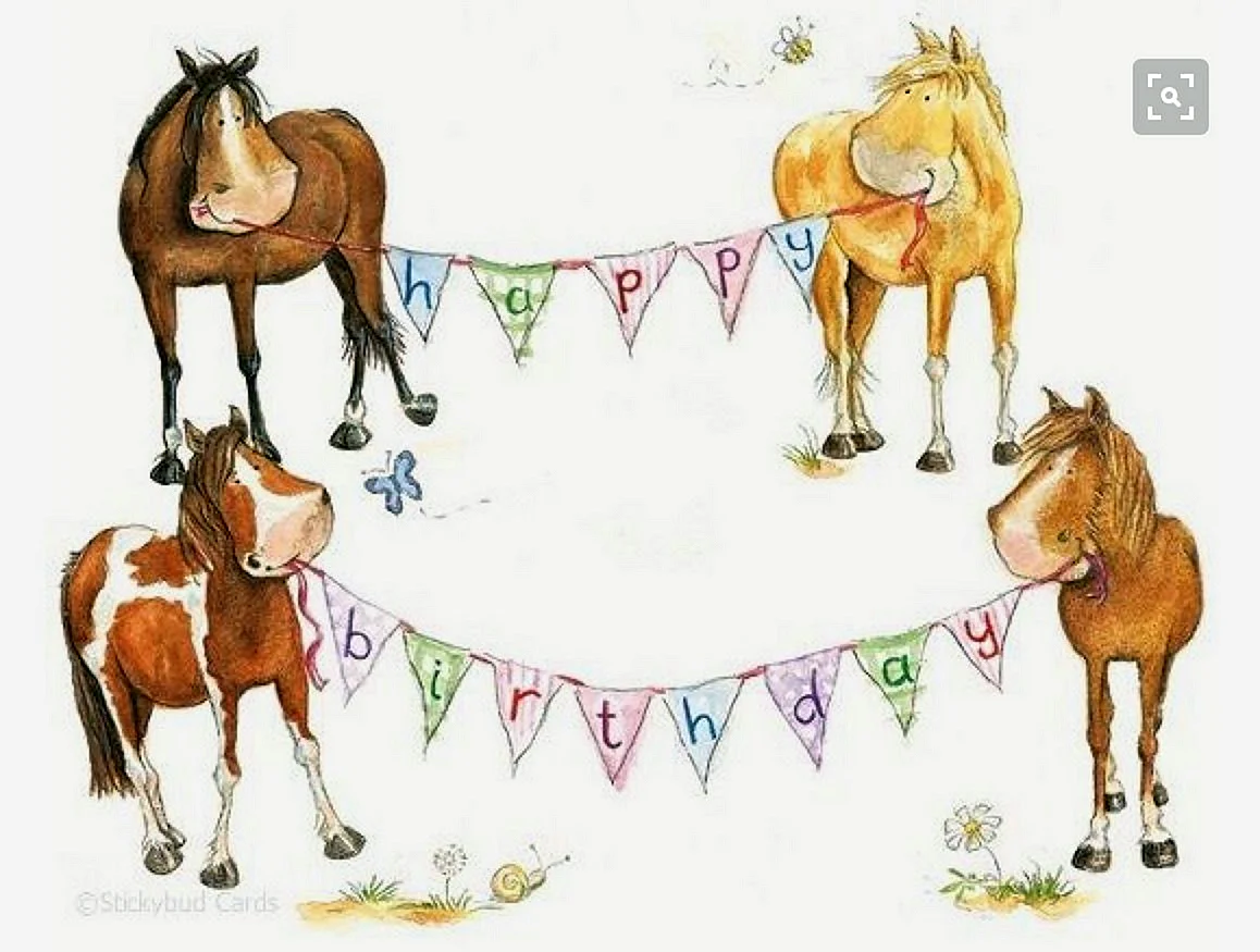 С днем рождения лошадь