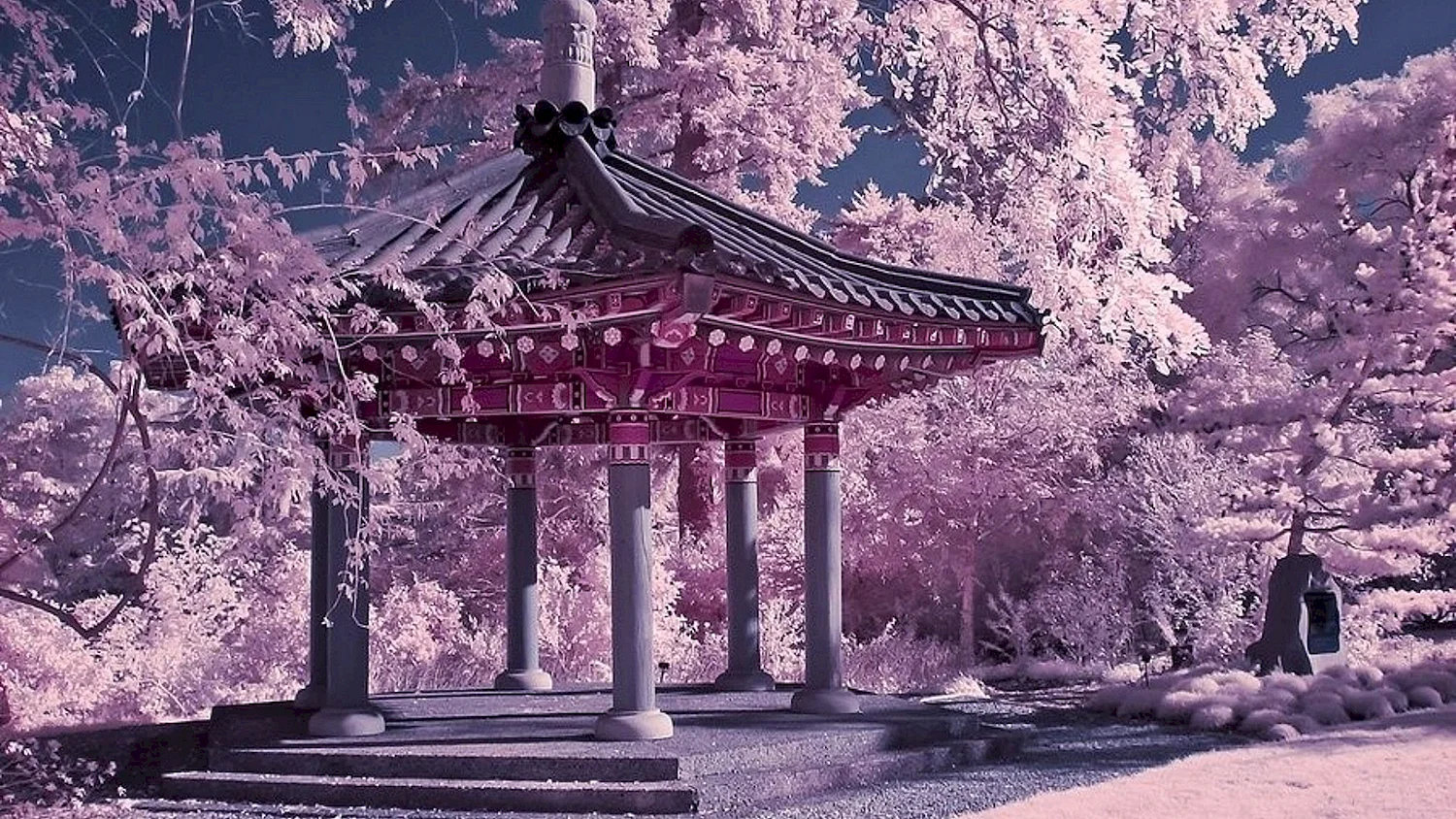 Сакура и храм