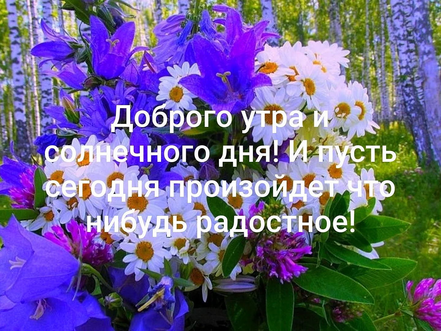 Самое доброе утро и хорошего дня
