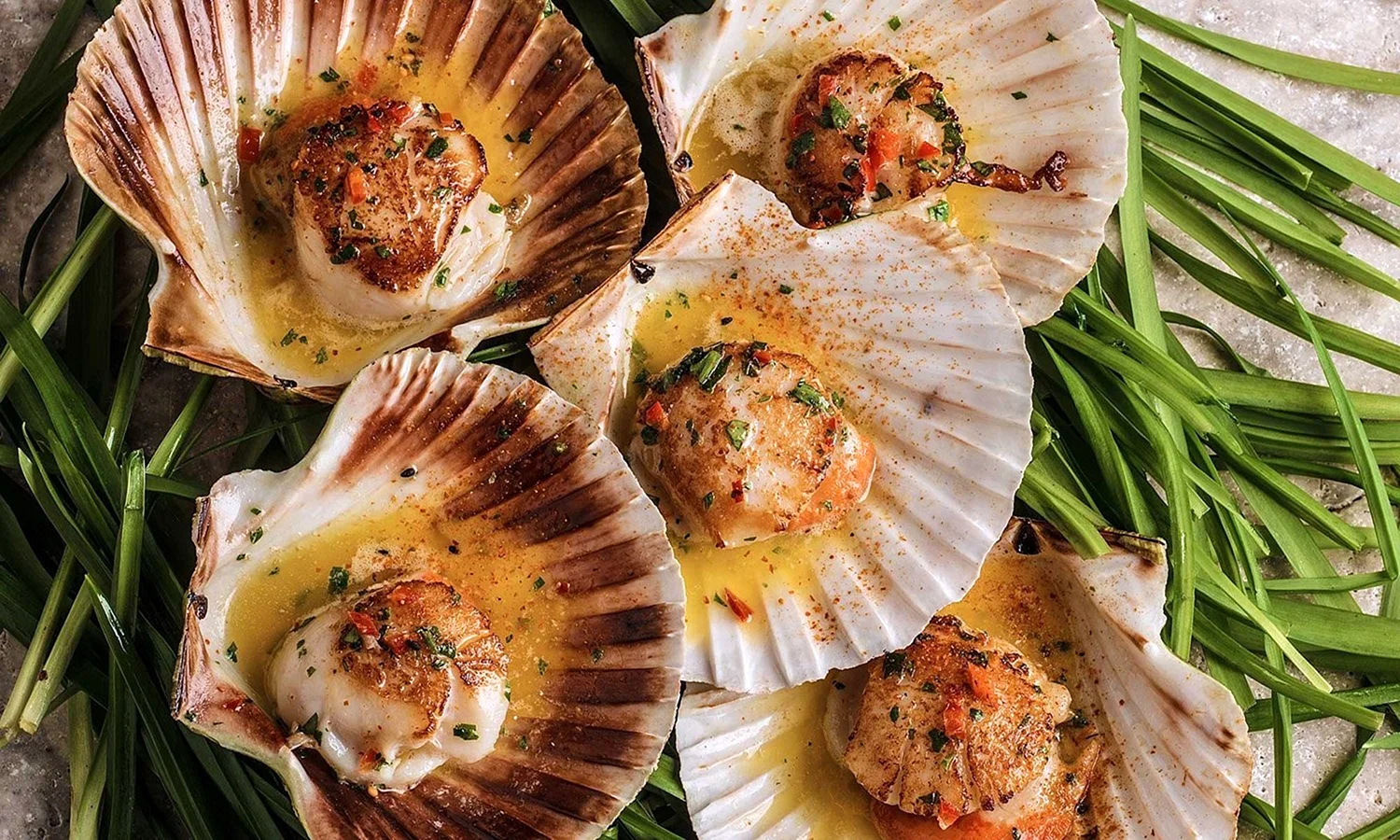 Scallops гребешки
