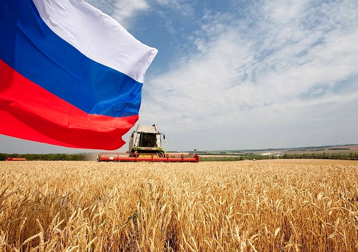 Сельское хозяйство России
