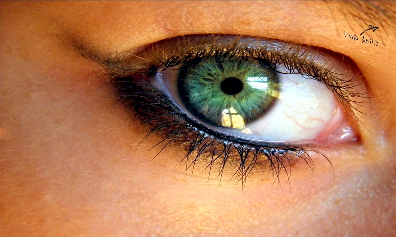Серо зелено карие глаза