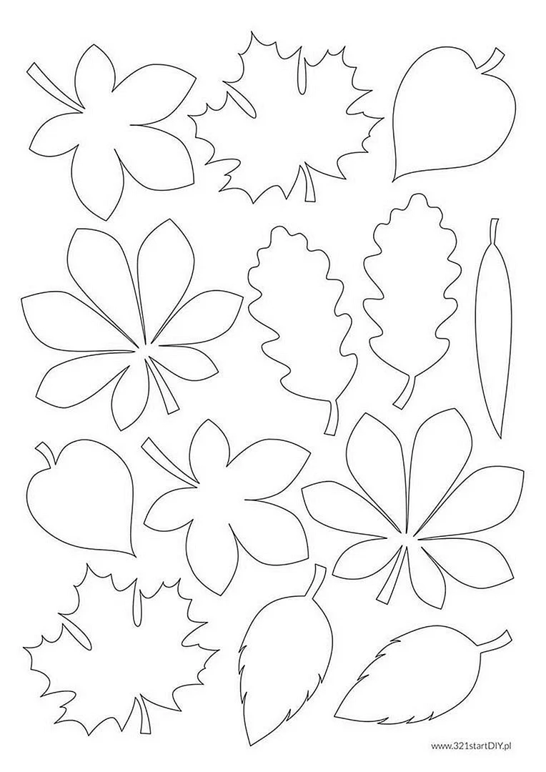 Шаблоны листочков для цветов