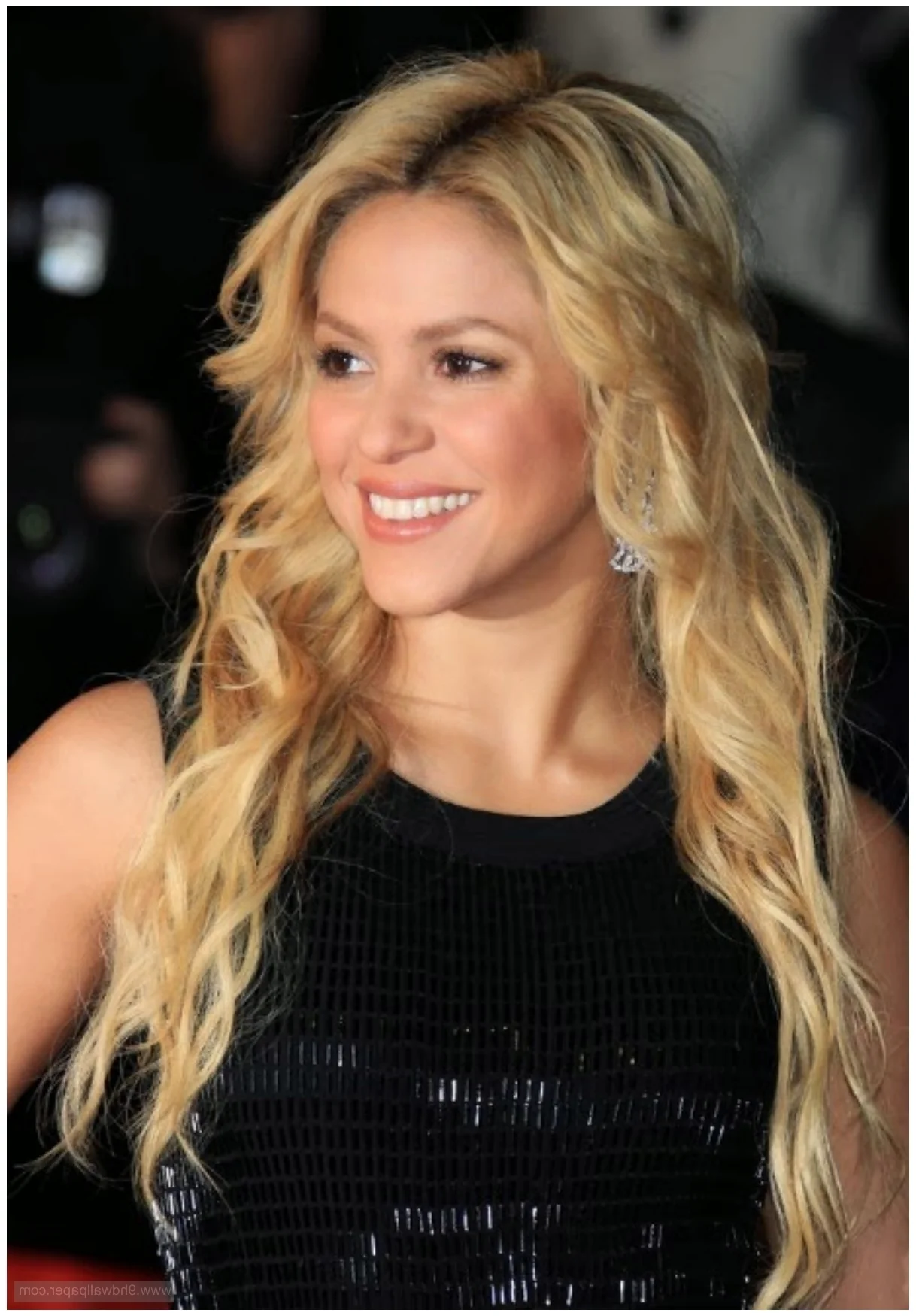 Shakira 2013