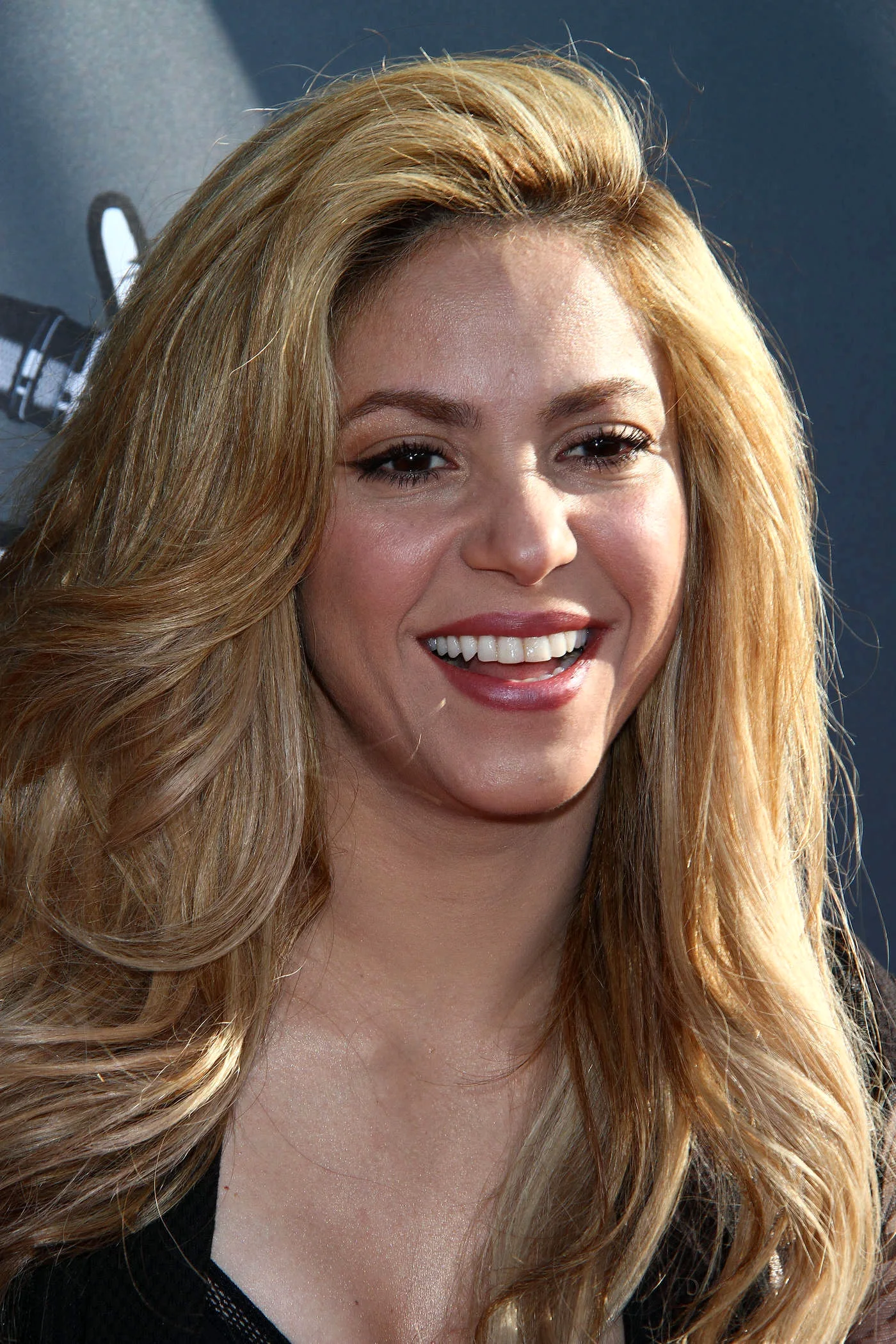 Shakira 2014