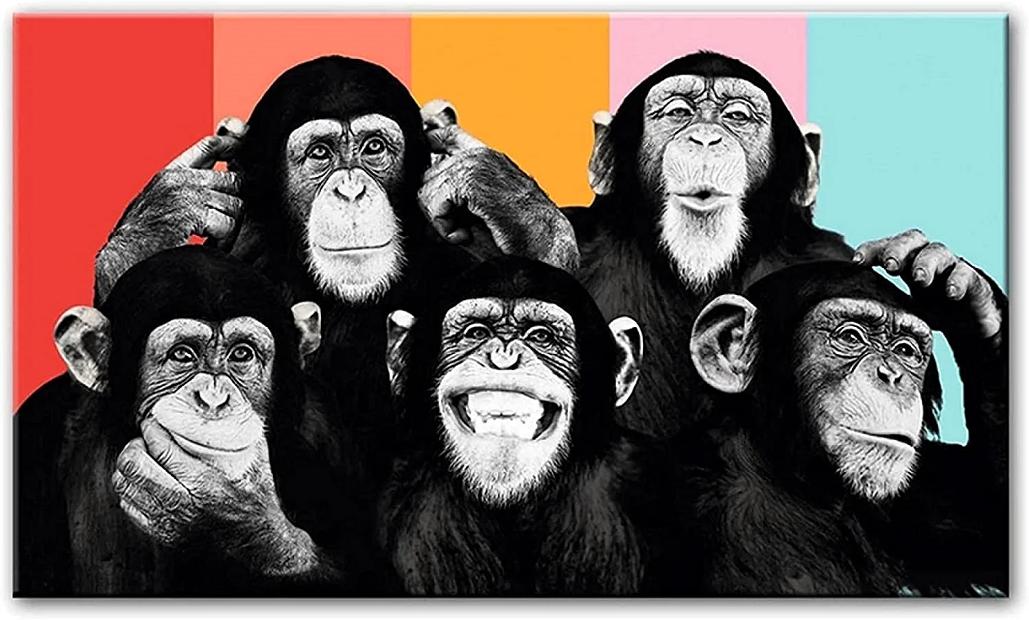Шимпанзе в стиле поп арт