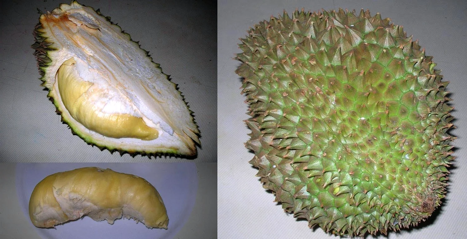 ШИПАСТЫЙ фрукт из Таиланда