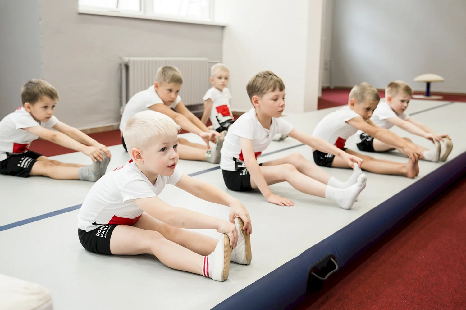 Школа спортивной гимнастики Андрея Гребенникова