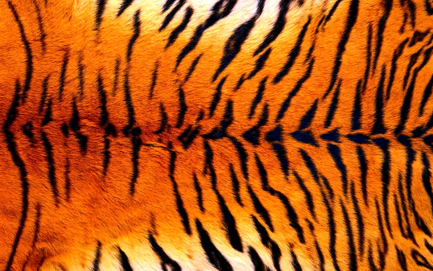 Шкура Амурского тигра