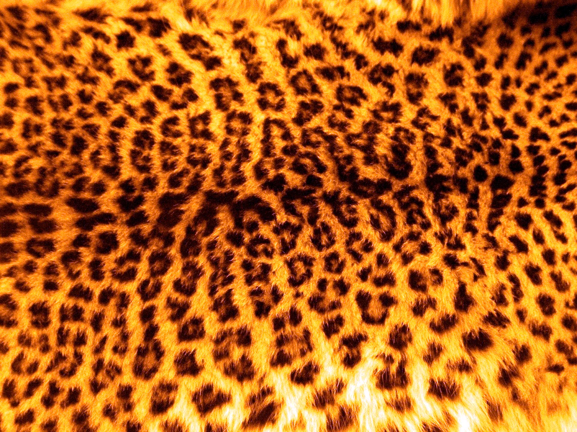 Шкура леопарда