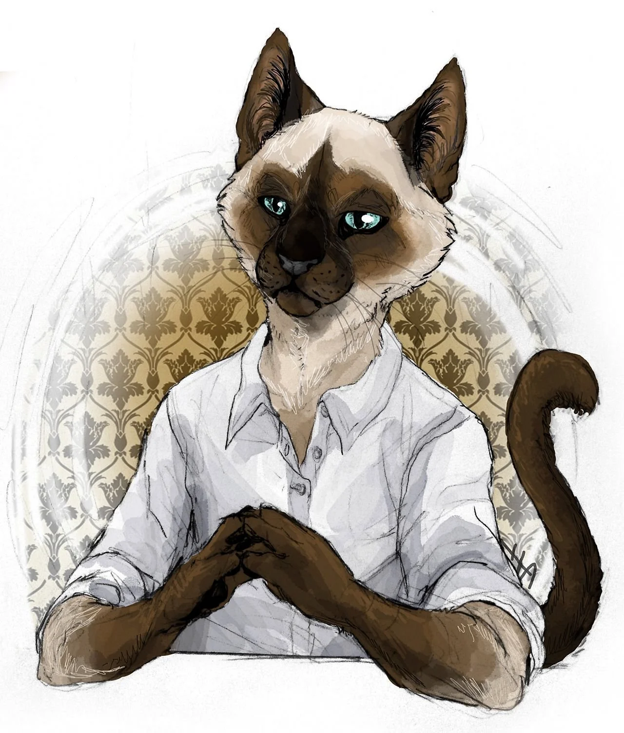 Сиамская кошка арт