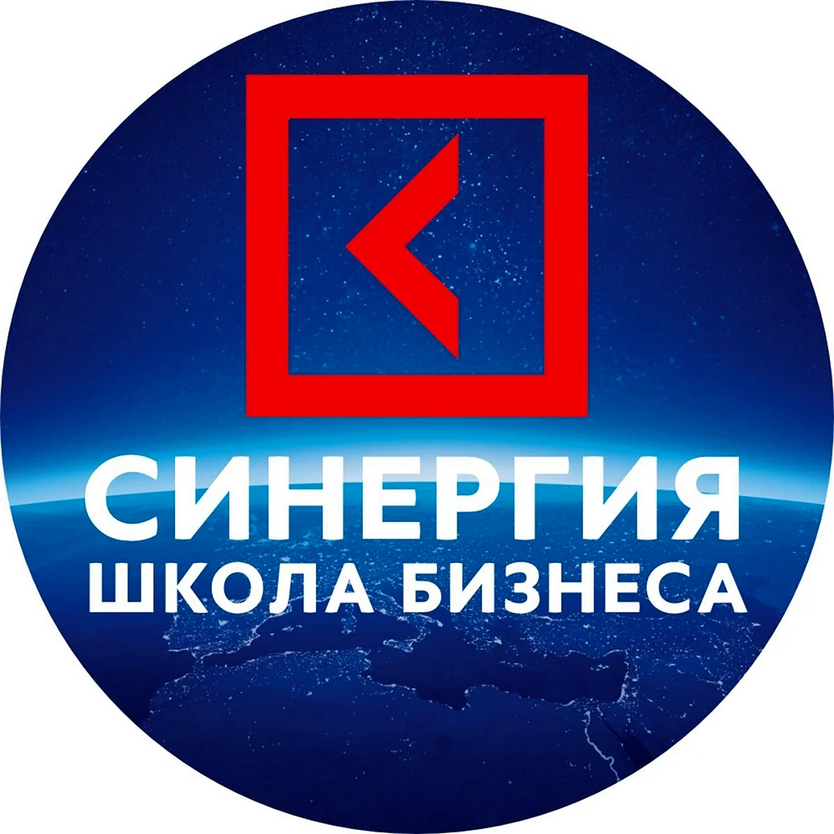 СИНЕРГИЯ школа бизнеса лого