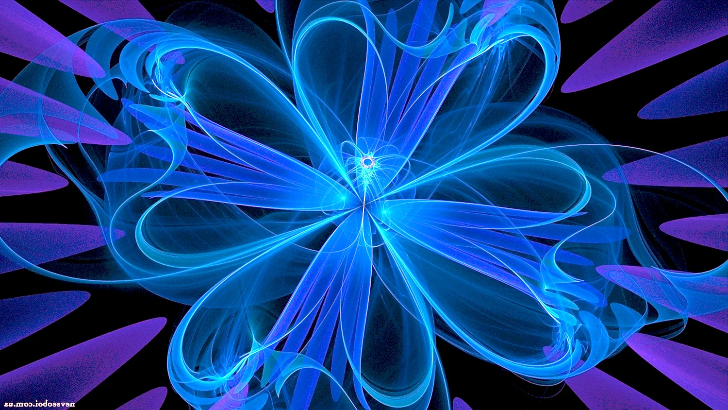 Синие абстрактные цветы