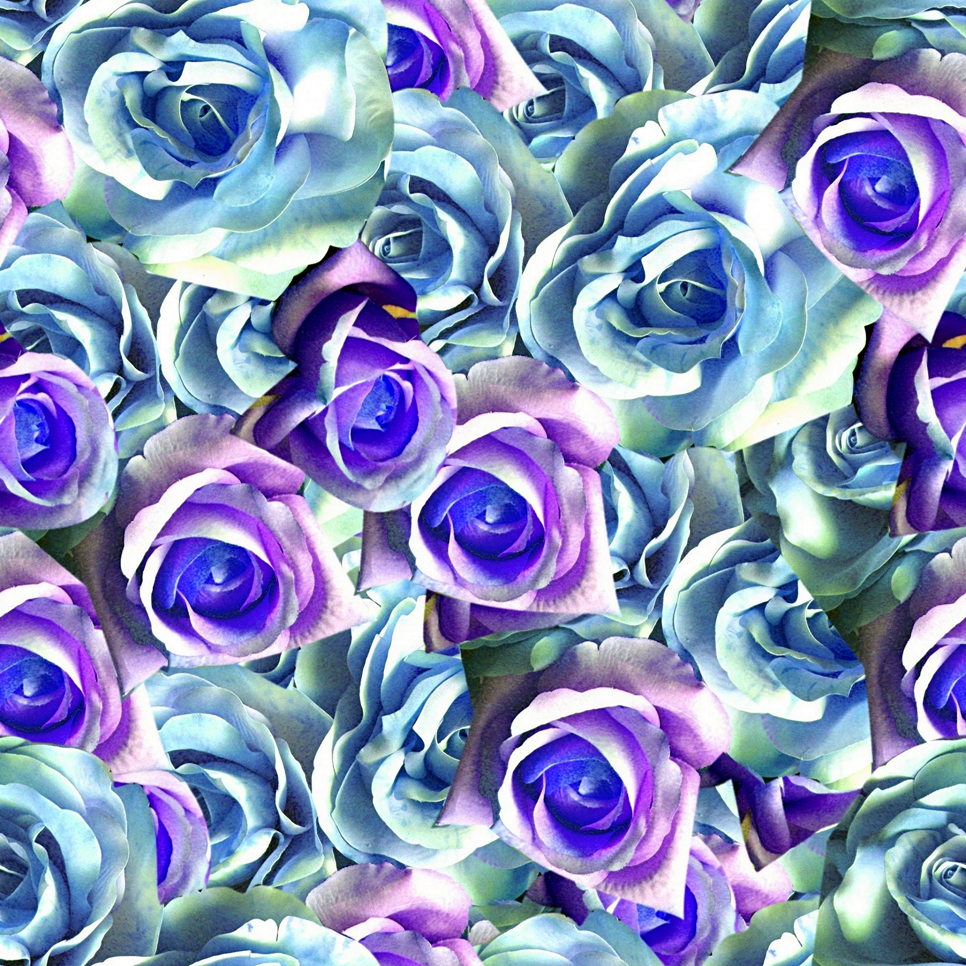 Синие и фиолетовые розы