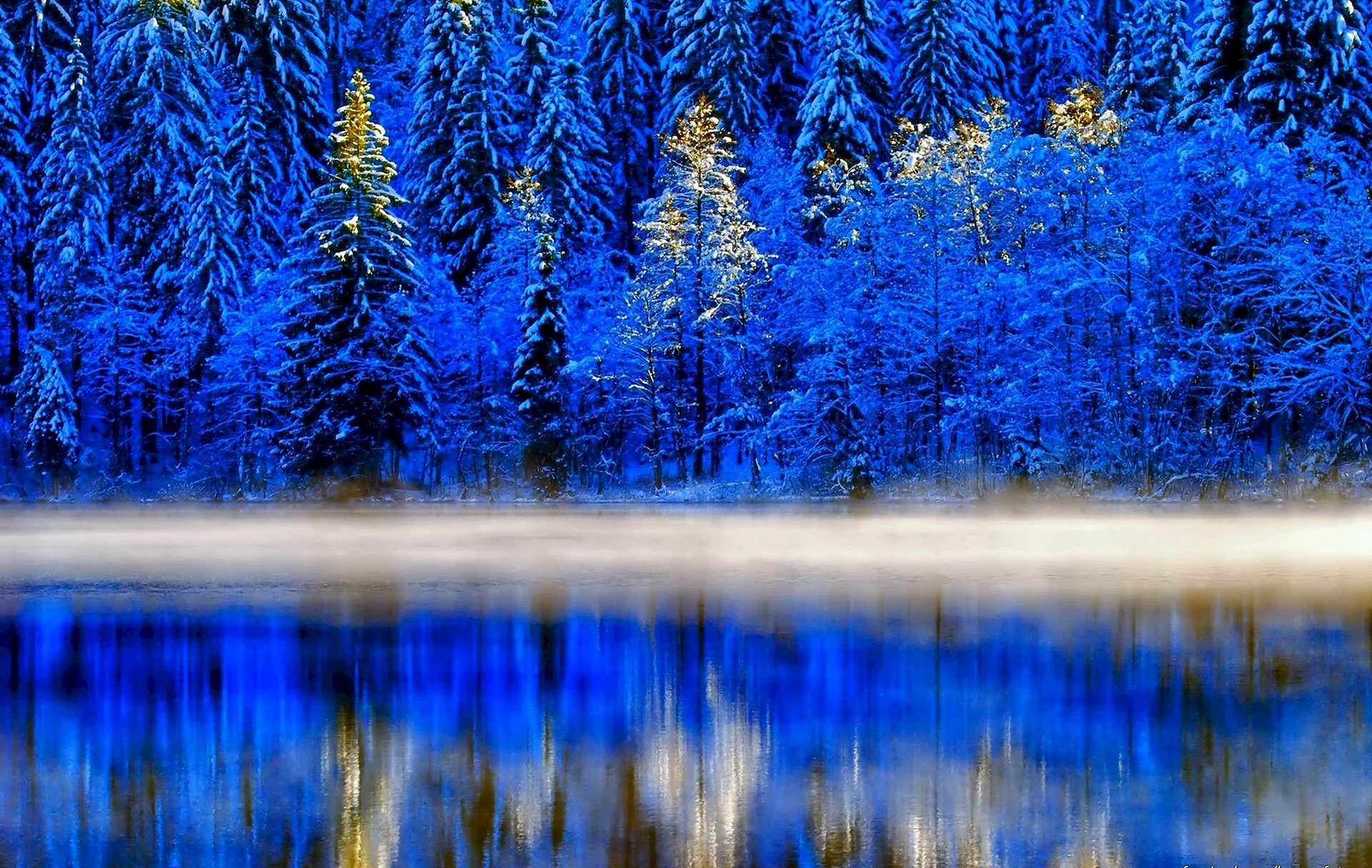 Синие леса