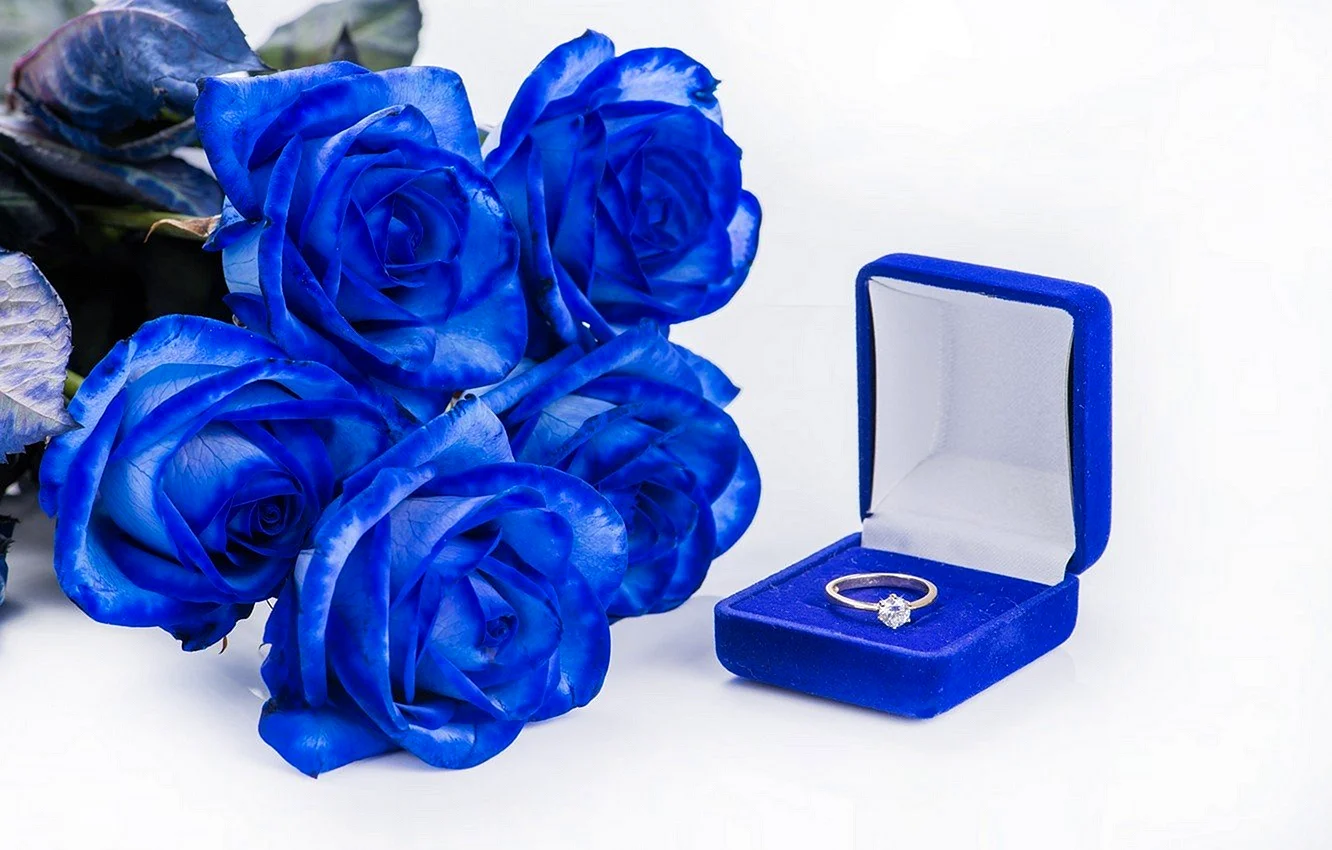 Синие розы и кольцо