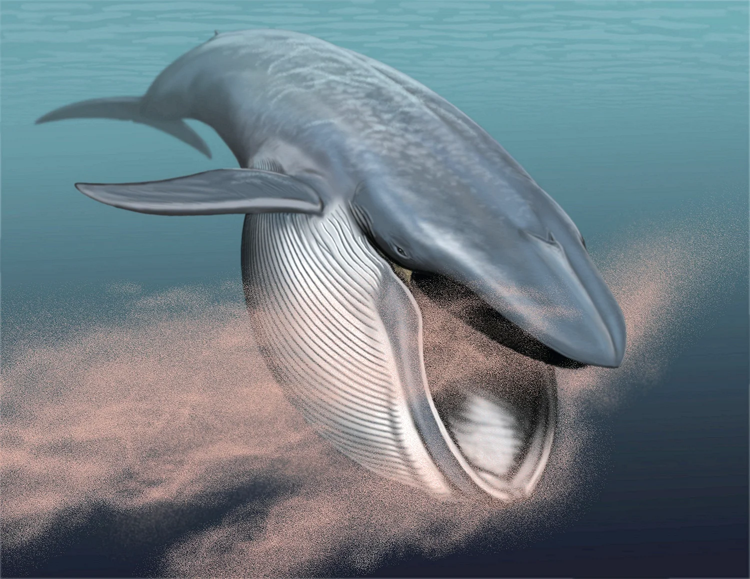Синий кит блювал