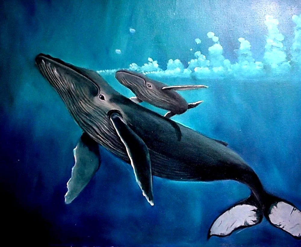 Синий кит с китенком