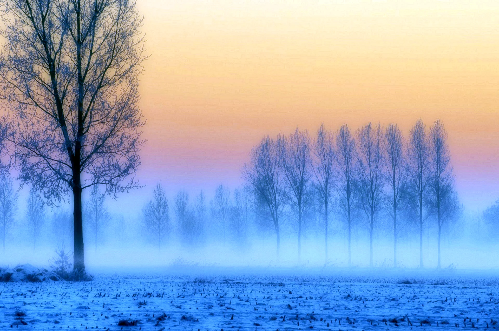 Синий туман снеговое Раздолье Есенин