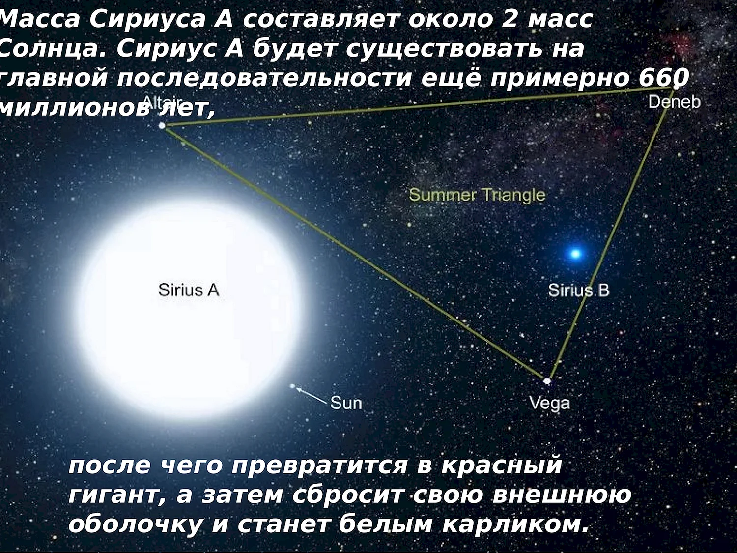 Сириус (α большого пса) звезда в Созвездие