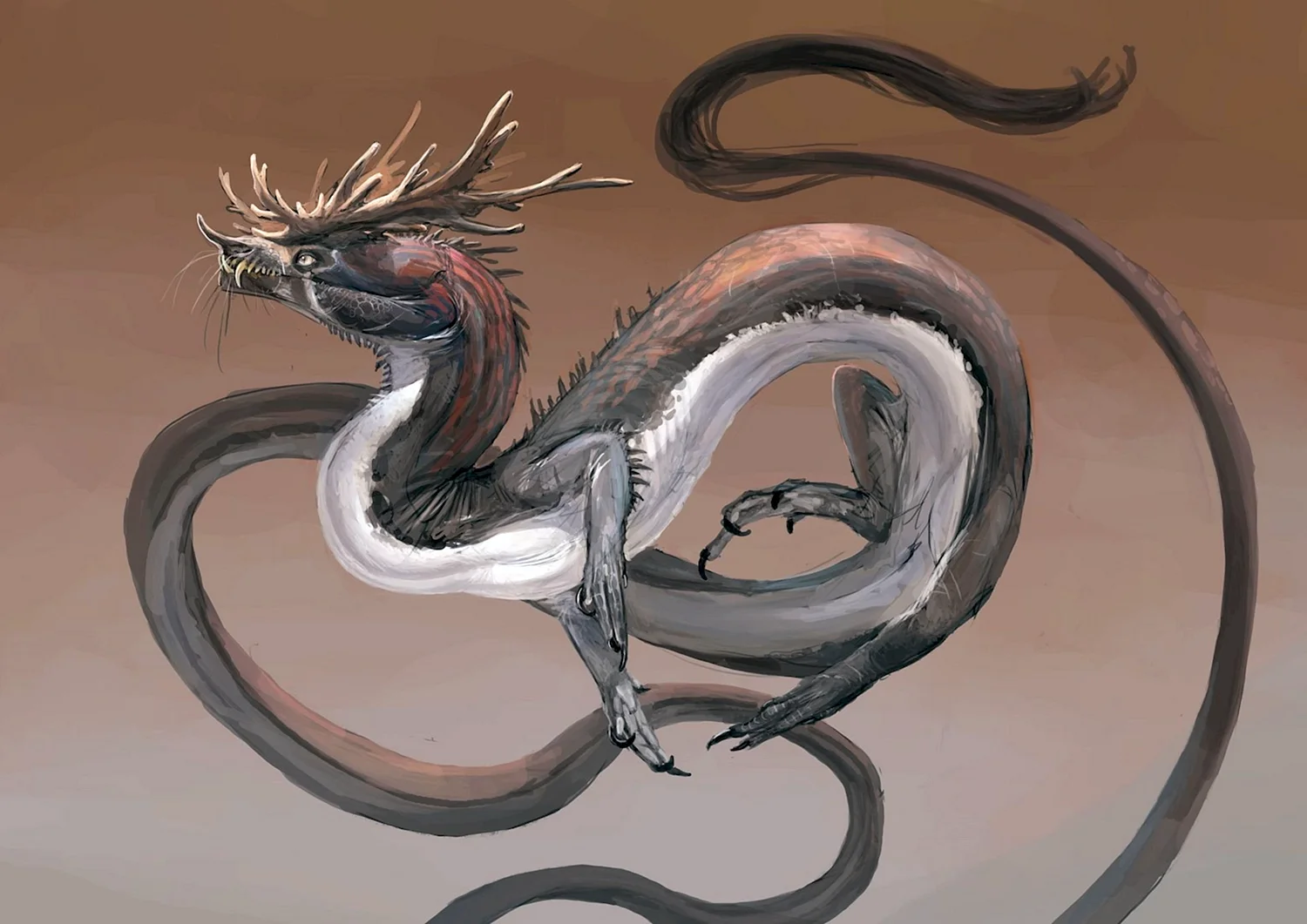 Сюаньлун дракон мифология