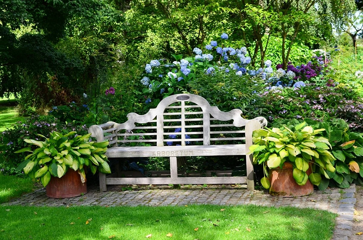 Скамейка в саду