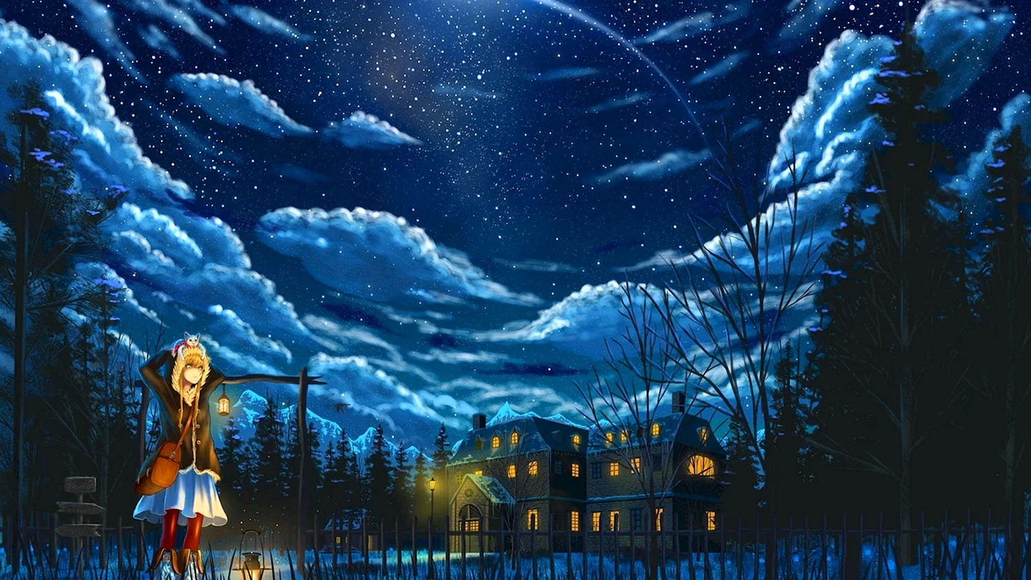 Сказочное ночное небо