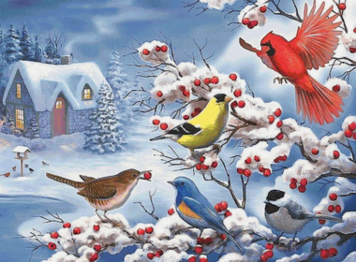 Сказочные зимние птицы
