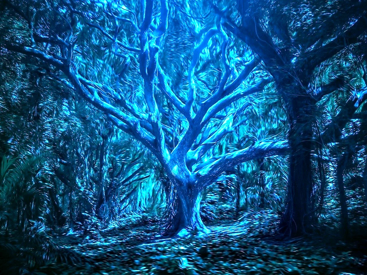 Сказочный лес арт обои HD на компьютер