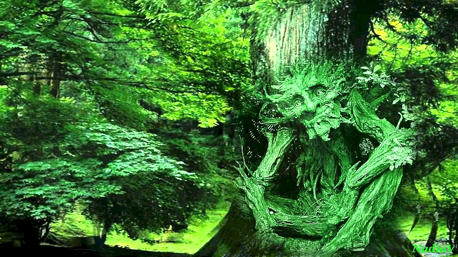 Сказочный лес с Лешим