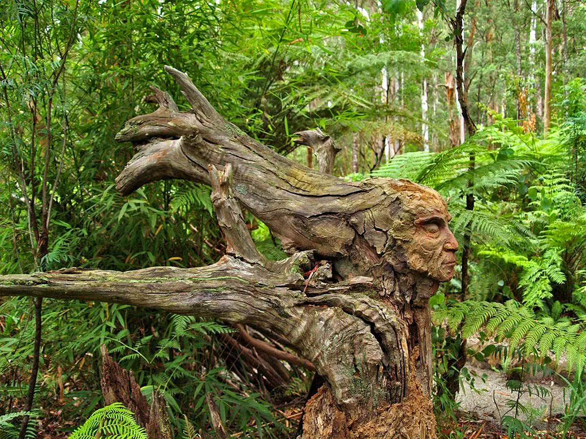 Сказочный сад Бруно Торфса Австралия