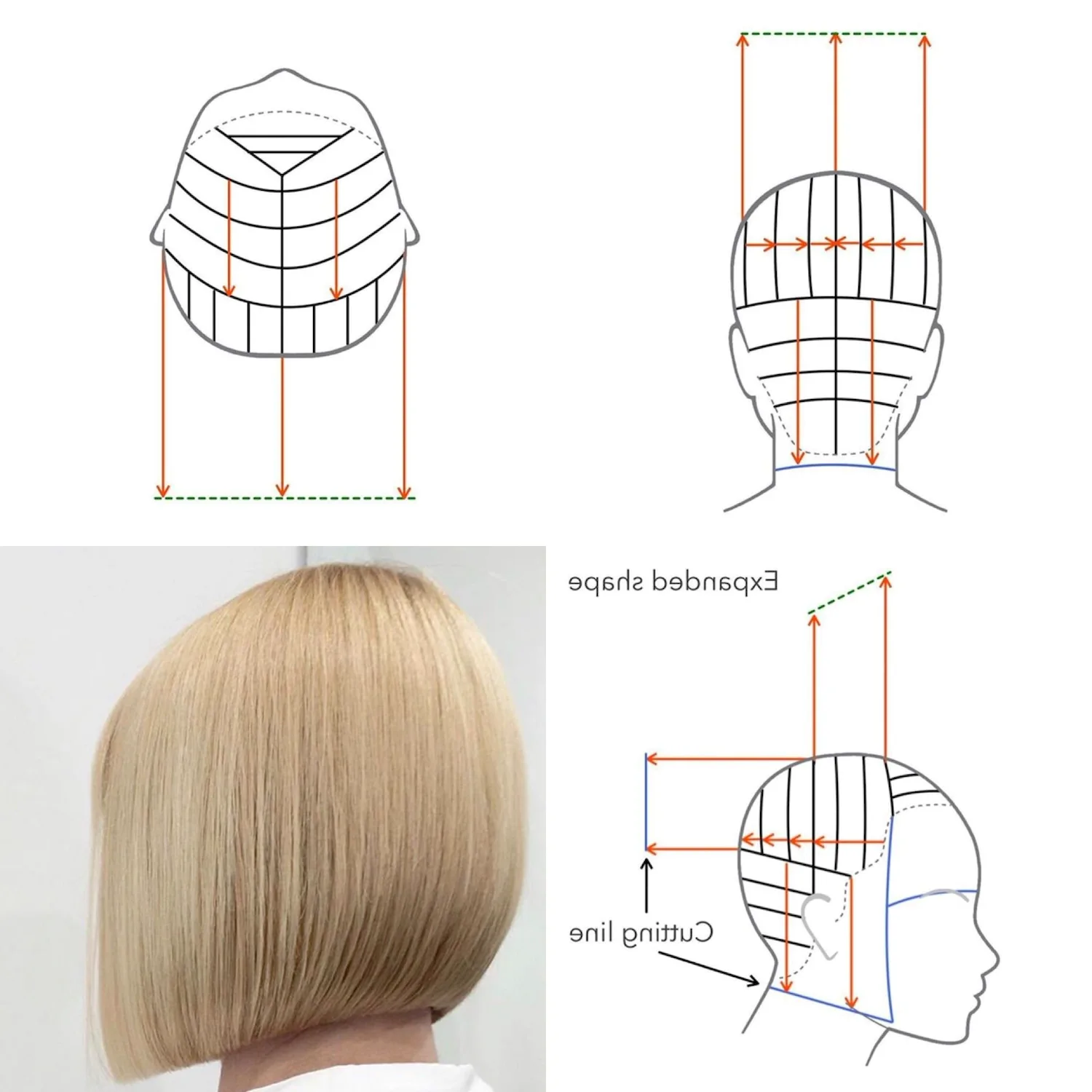 Как стричь Каре: схема для начинающего парикмахера