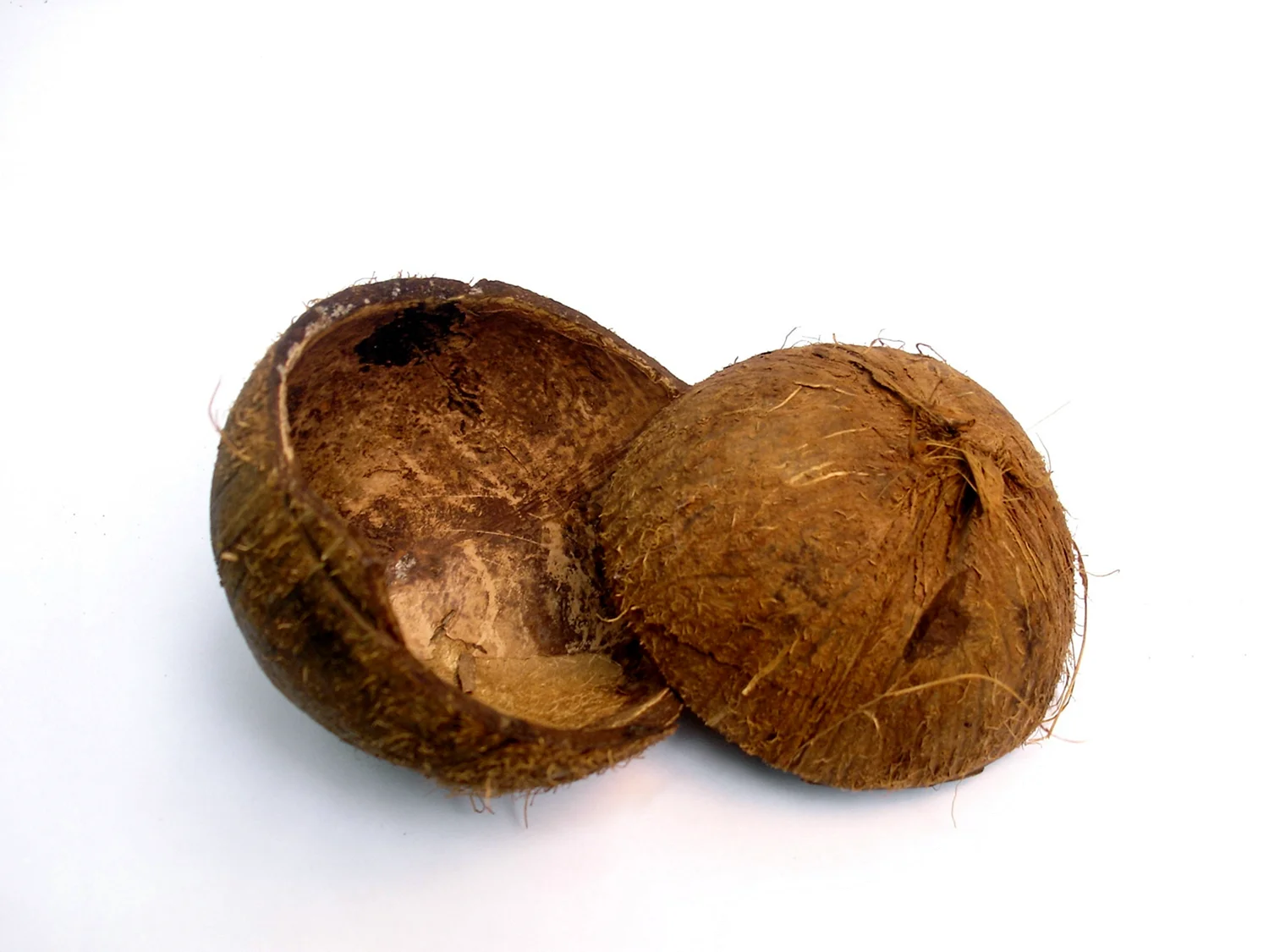 Скорлупа кокоса