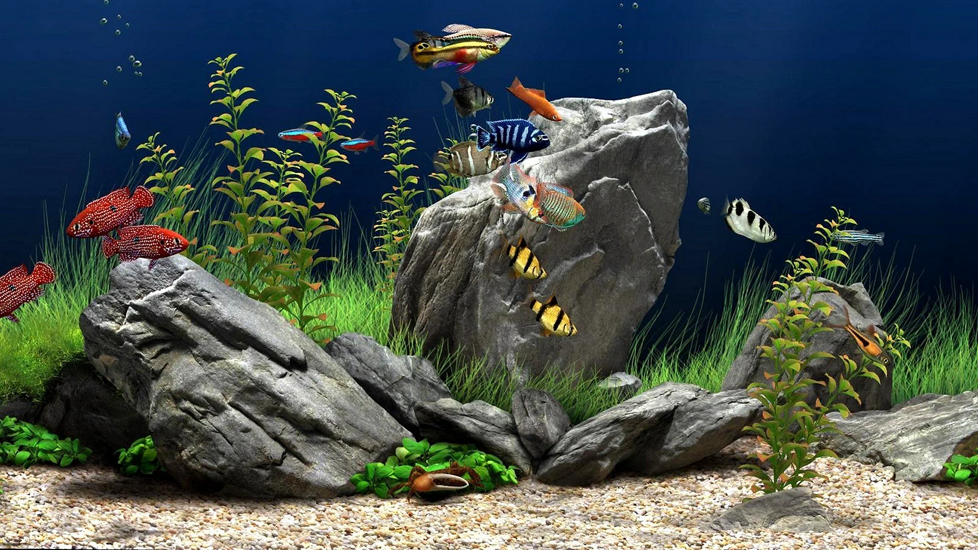Скринсейвер Dream Aquarium