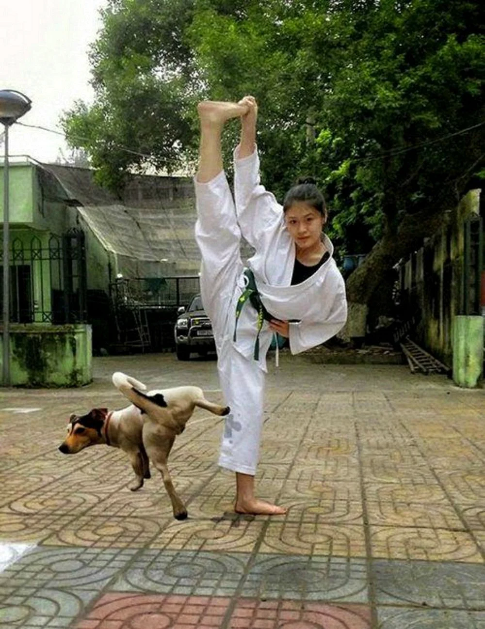 Смешной каратист