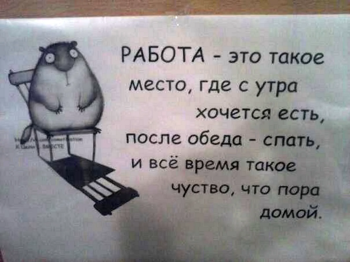 Смешные стихи про работу