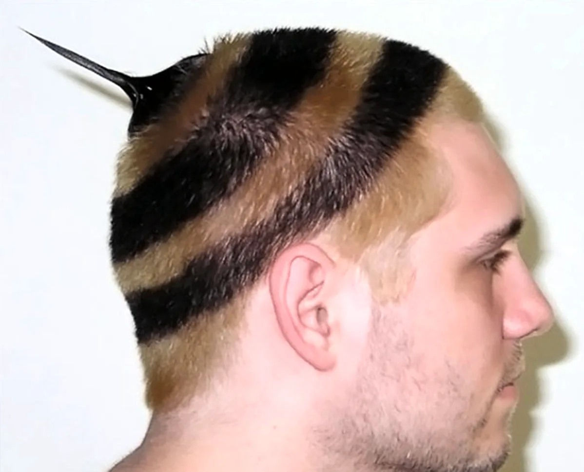 Смешные стрижки