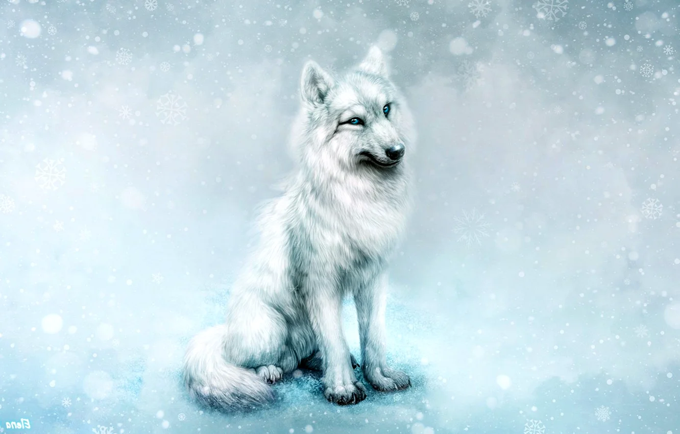 Снежный волк арт