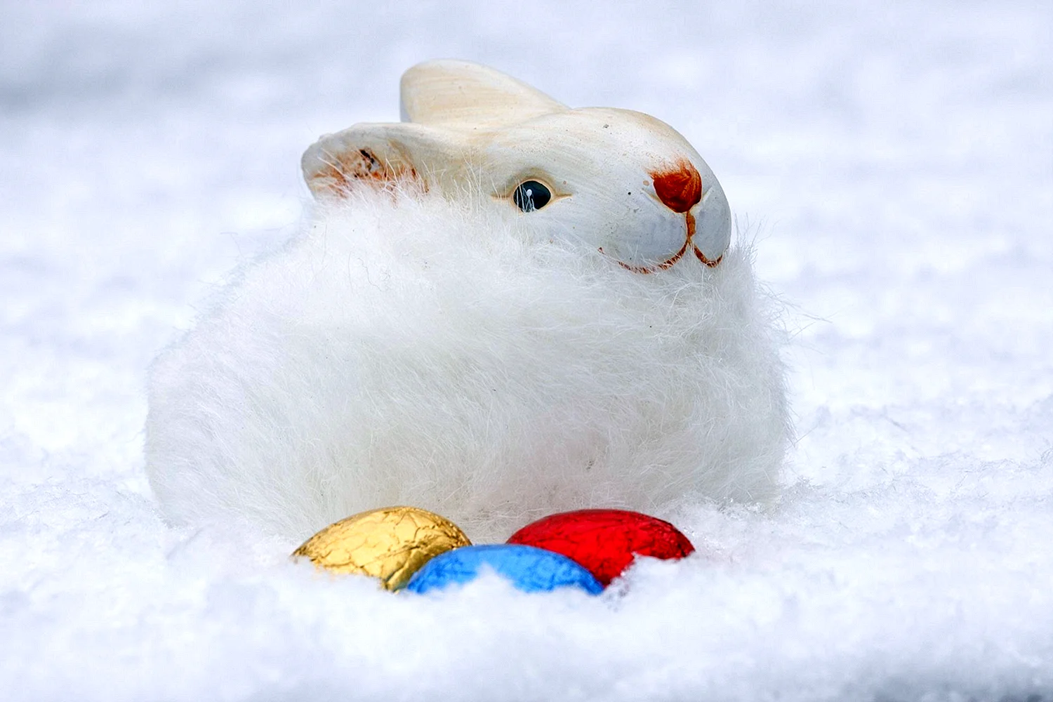 Снежный заяц