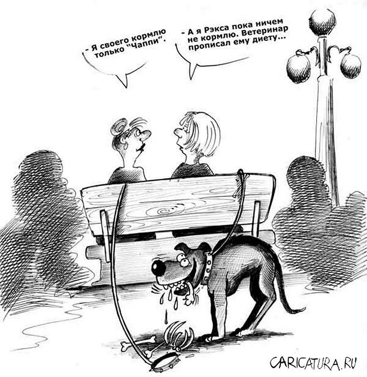 Собака карикатура