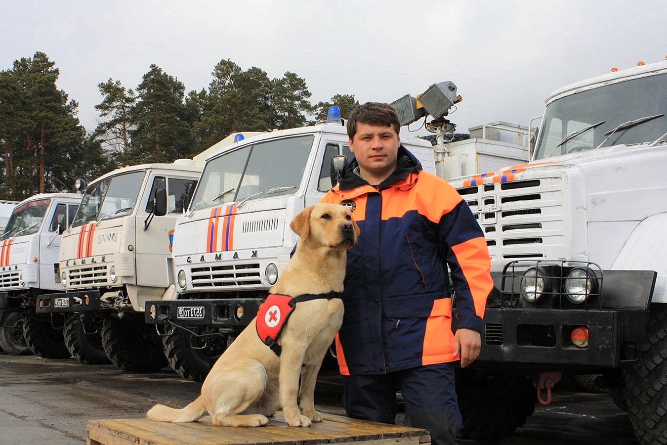 Собаки спасатели МЧС России