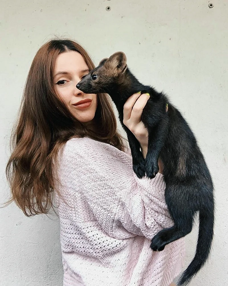 Соболь умора