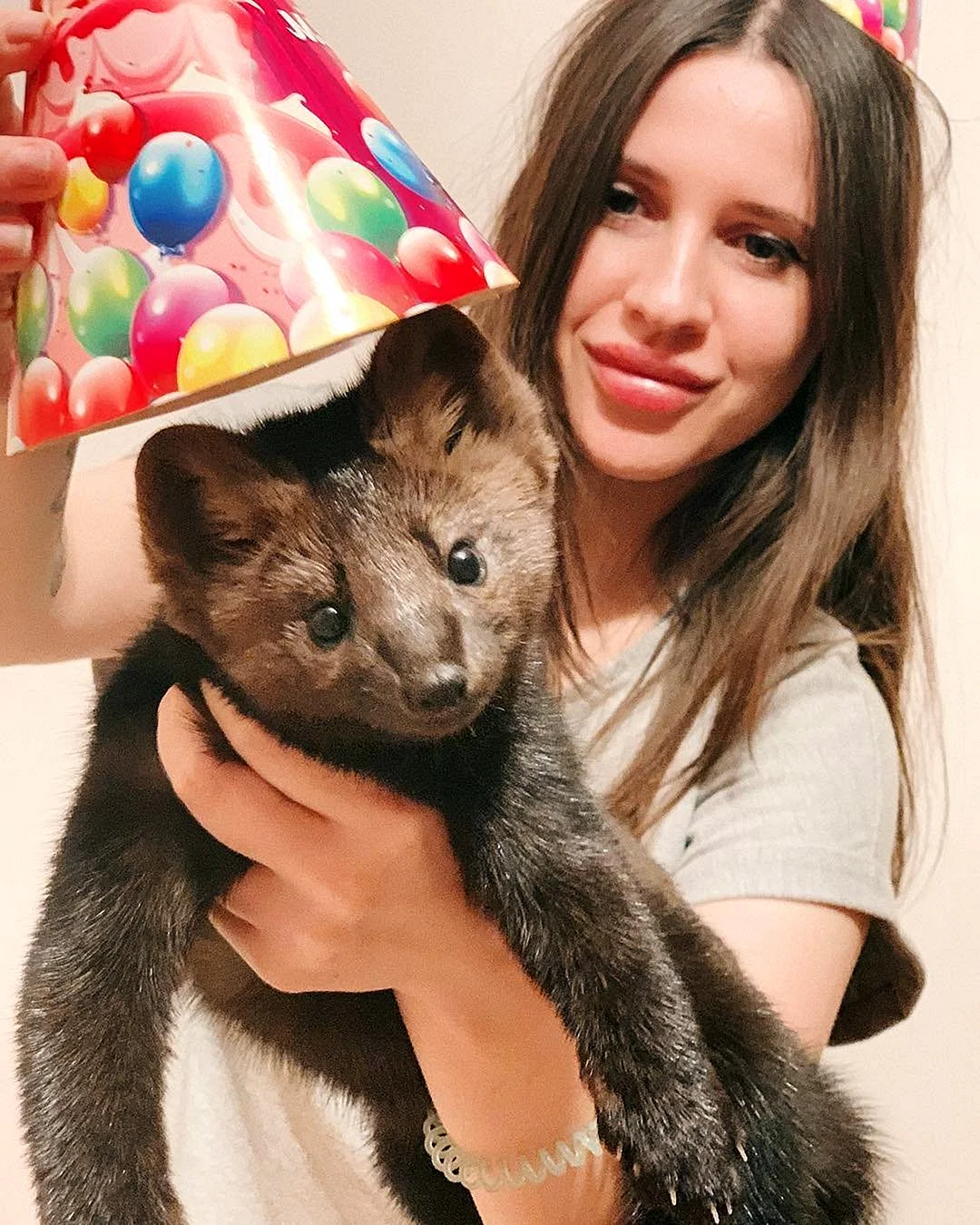 Соболь животное